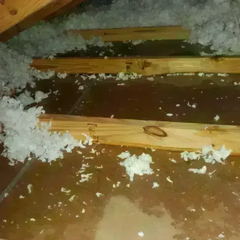 Attic Water Damage in Corbin, KY