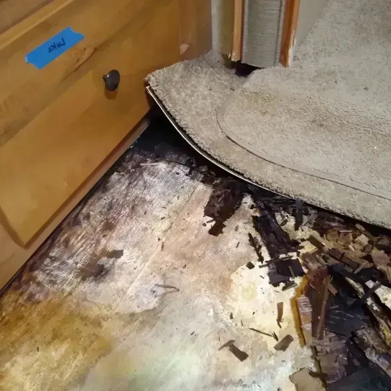 Wood Floor Water Damage in Corbin, KY